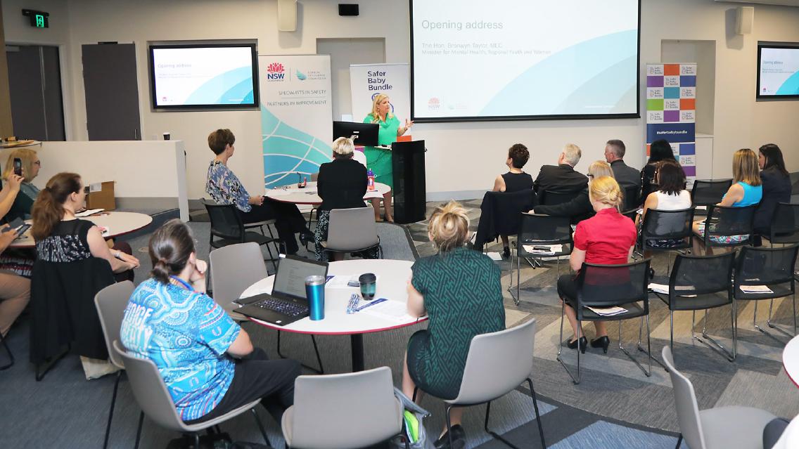 An audience watches the Safer Baby Bundle launch presentation