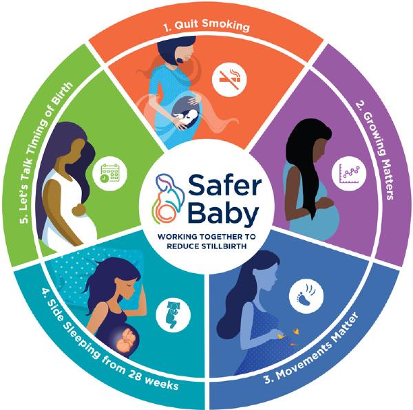 Safer Baby Bundle | CEC Year in Review 2019-2020